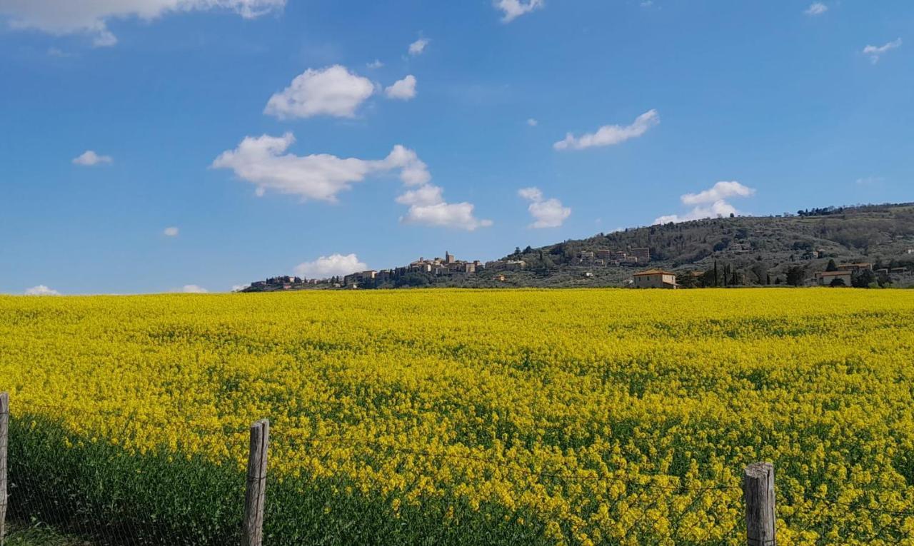 פניקאלה Podere Molinaccio מראה חיצוני תמונה